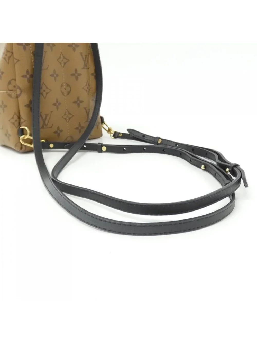 Louis Vuitton Monogram Reverse Palm Springs Backpack Mini
